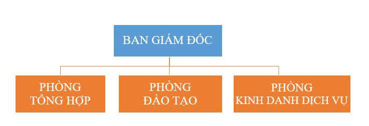 1 Cơ cấu tổ chức